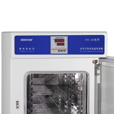 Инкубатор культуры ткани бактерий инкубатора 220V OEM термостатический